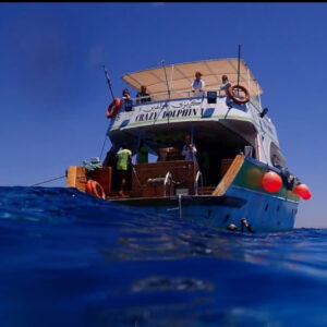 Full Day Diving Boat Trip for Certified Divers