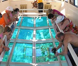 Half-Day Glass Private Boat Tour Hurghada – Explore the Red Sea Without Getting Wet